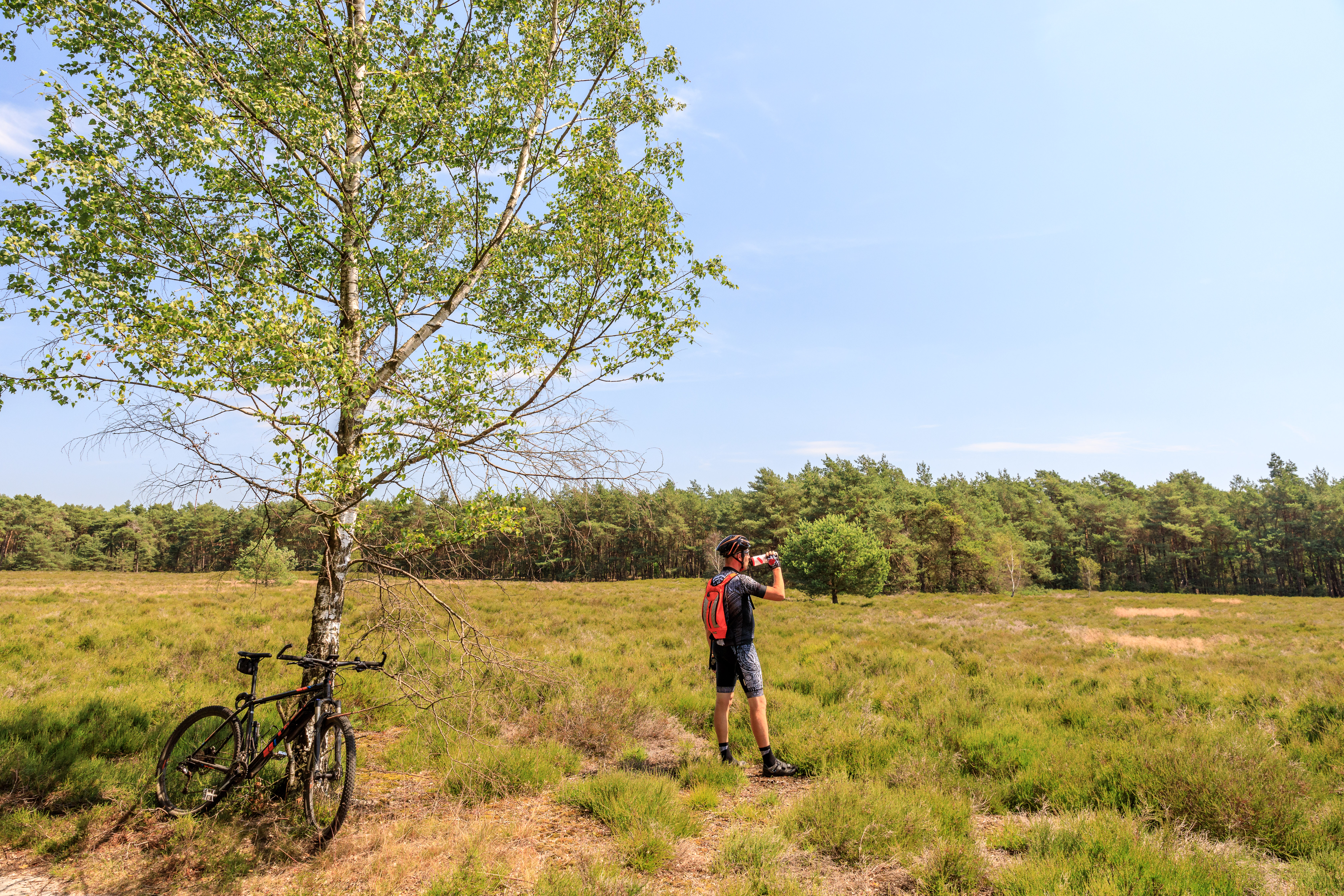 Camping De Holterberg