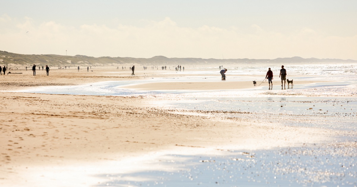 Camping Sint Maartenszee