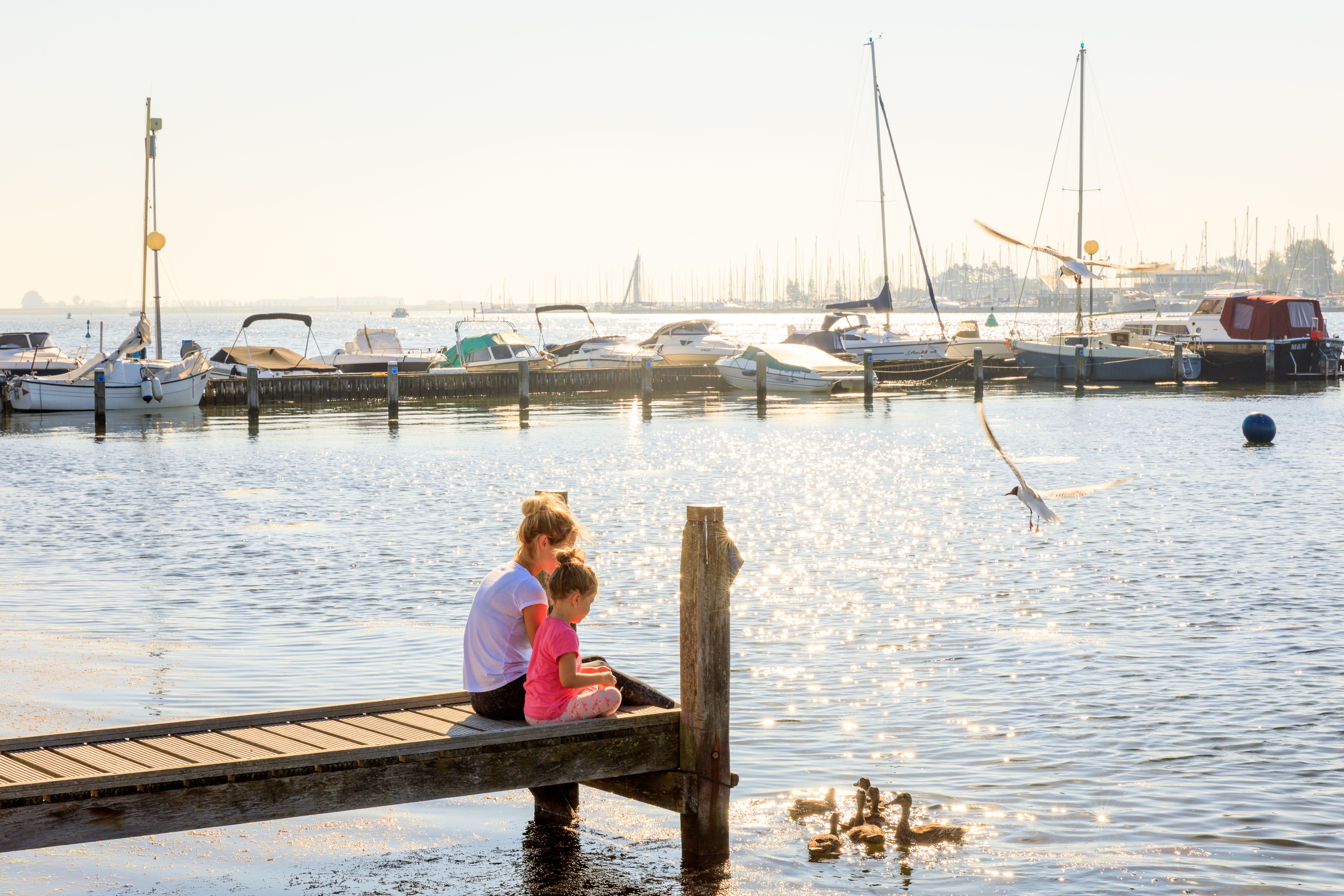 Camping en Villapark De Paardekreek