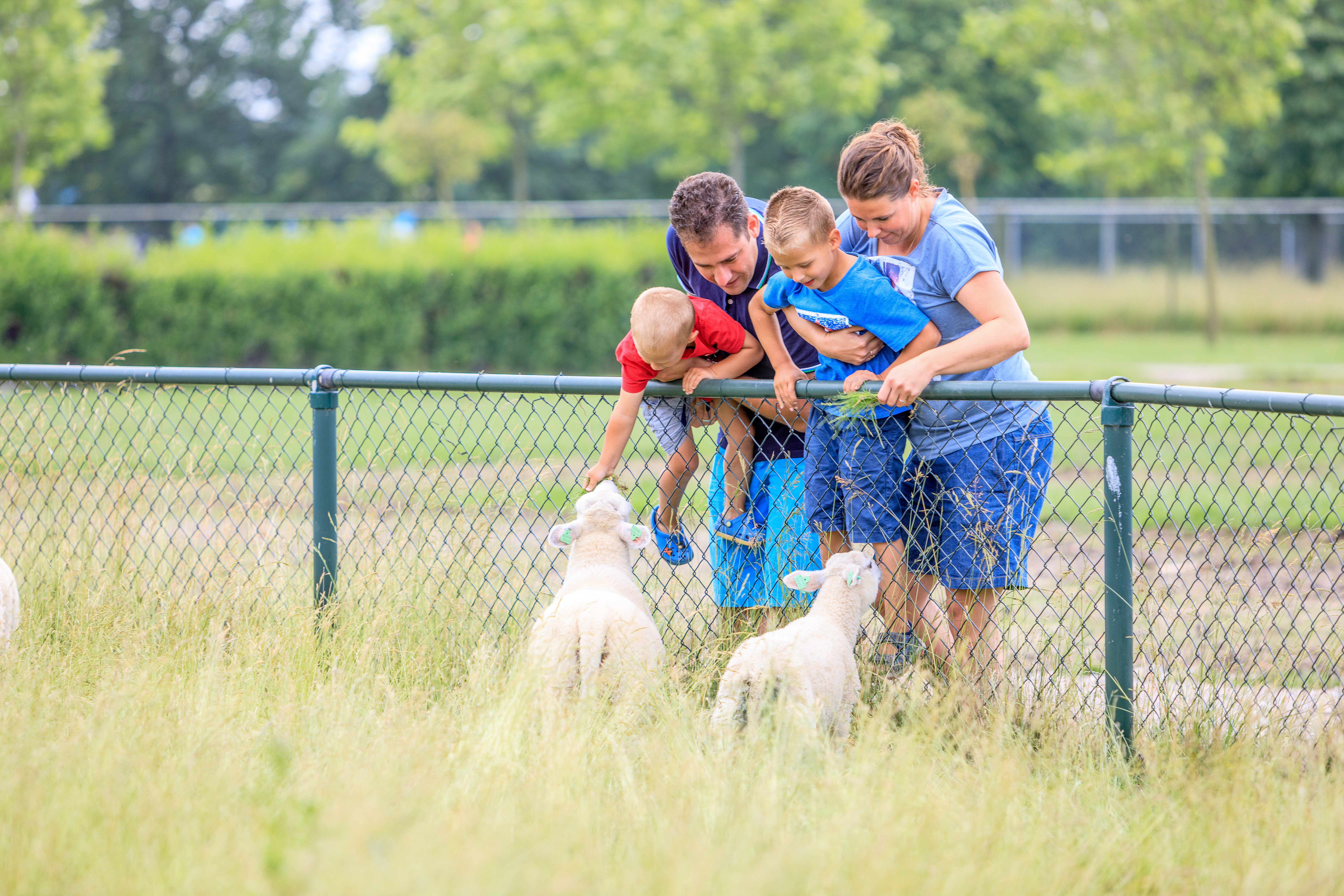 Comfortcamping Scheldeoord