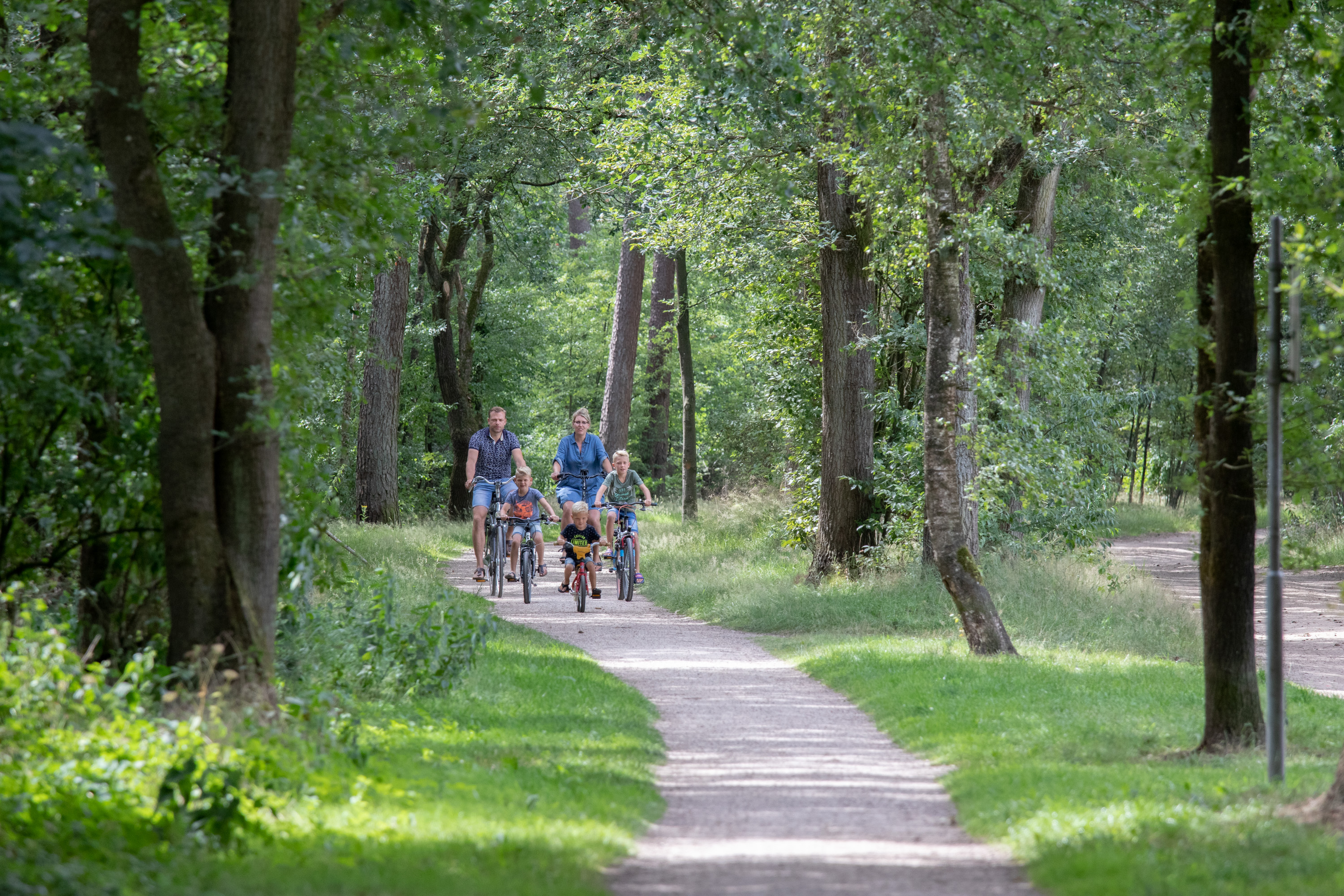 Camping De Noetselerberg