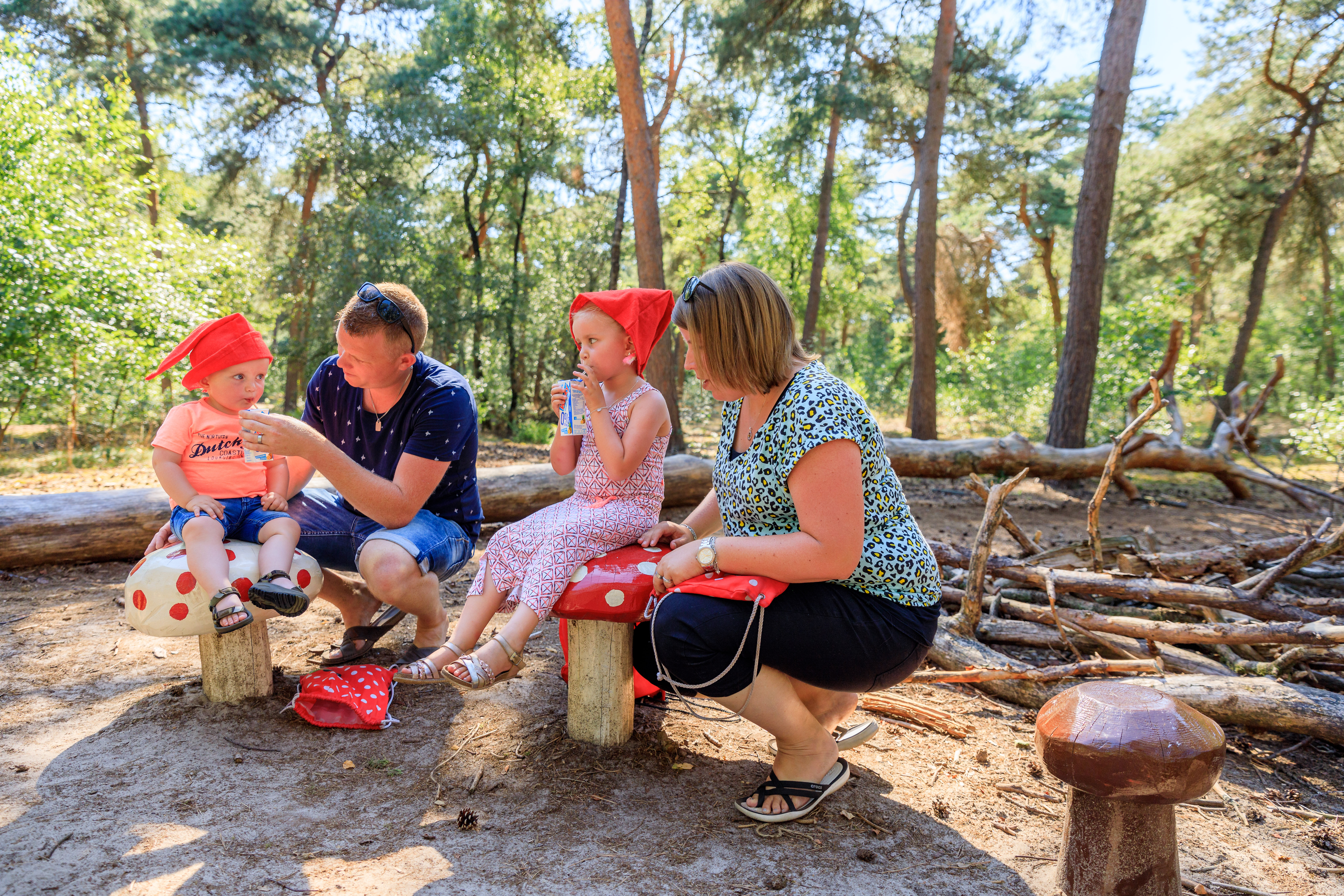 Vakantiecentrum De Ullingse Bergen