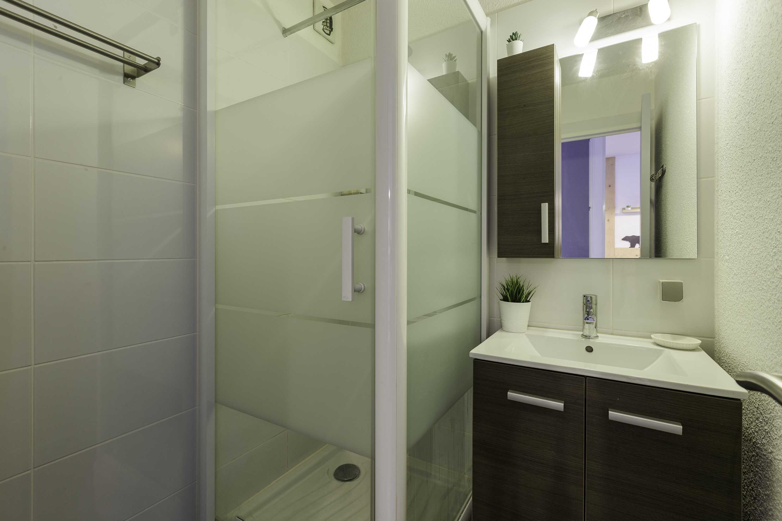 Les Marmottes En Chaussettes