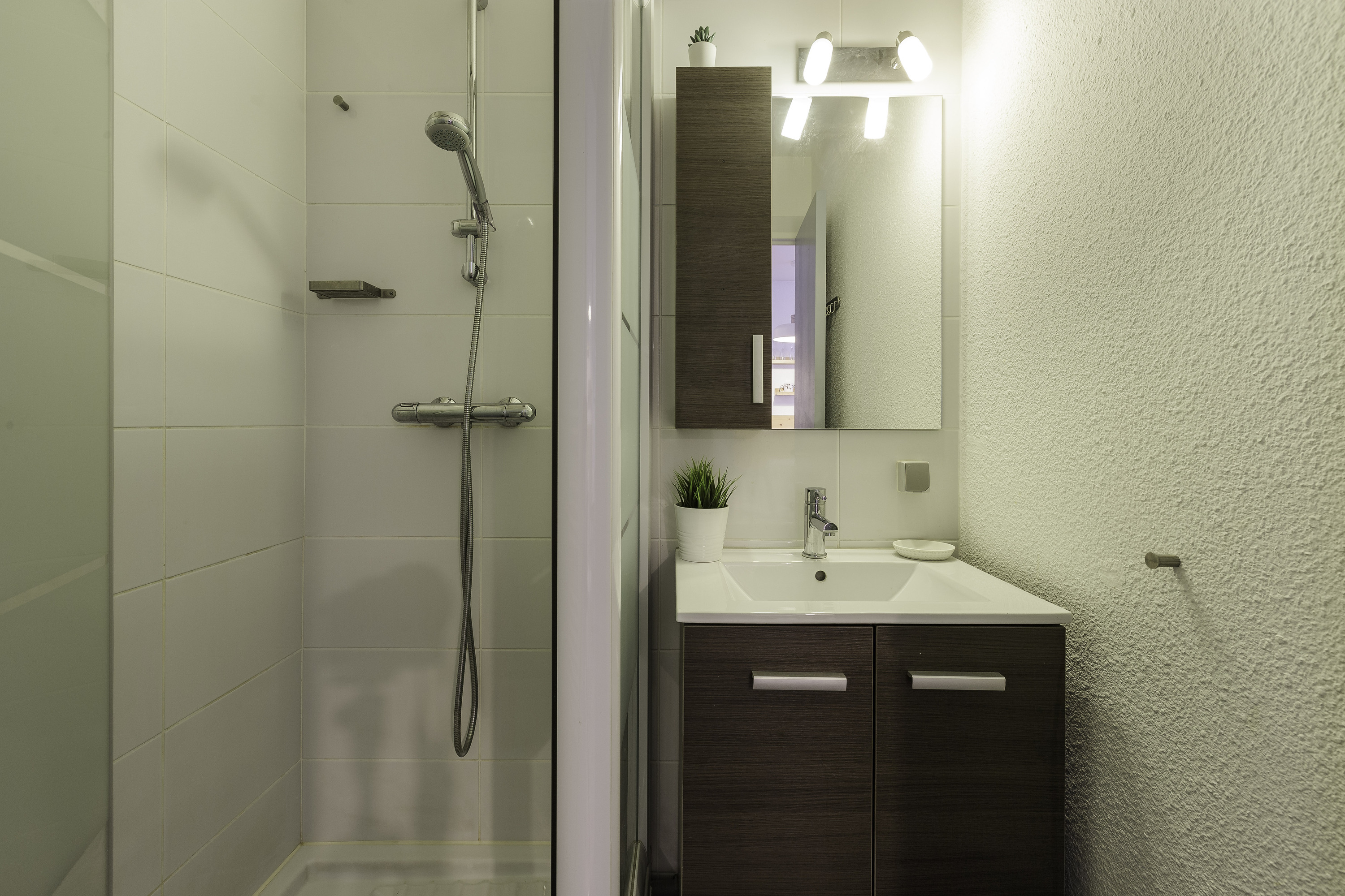 Les Marmottes En Chaussettes