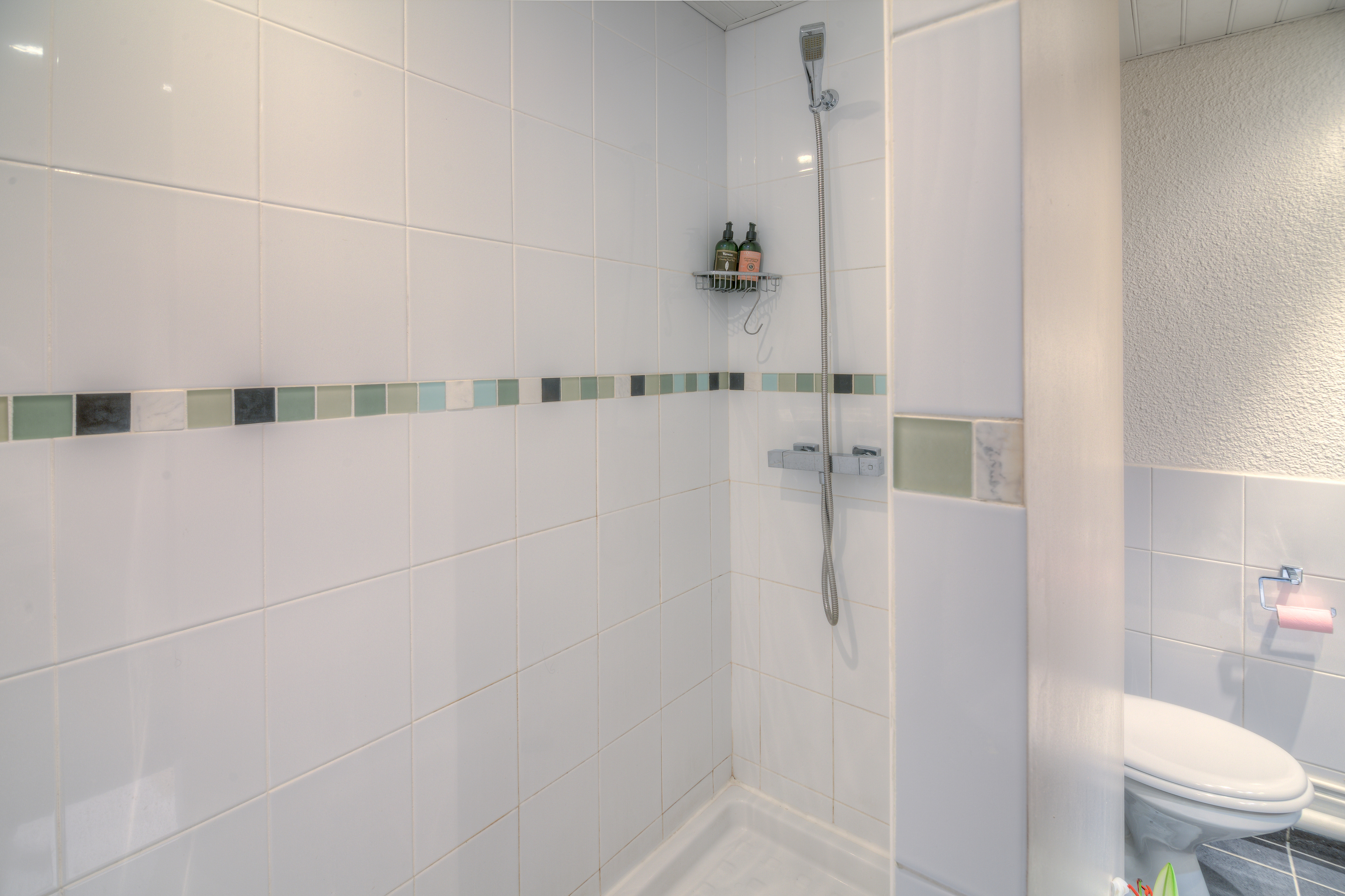 Chamonix Sud - Forclaz 504