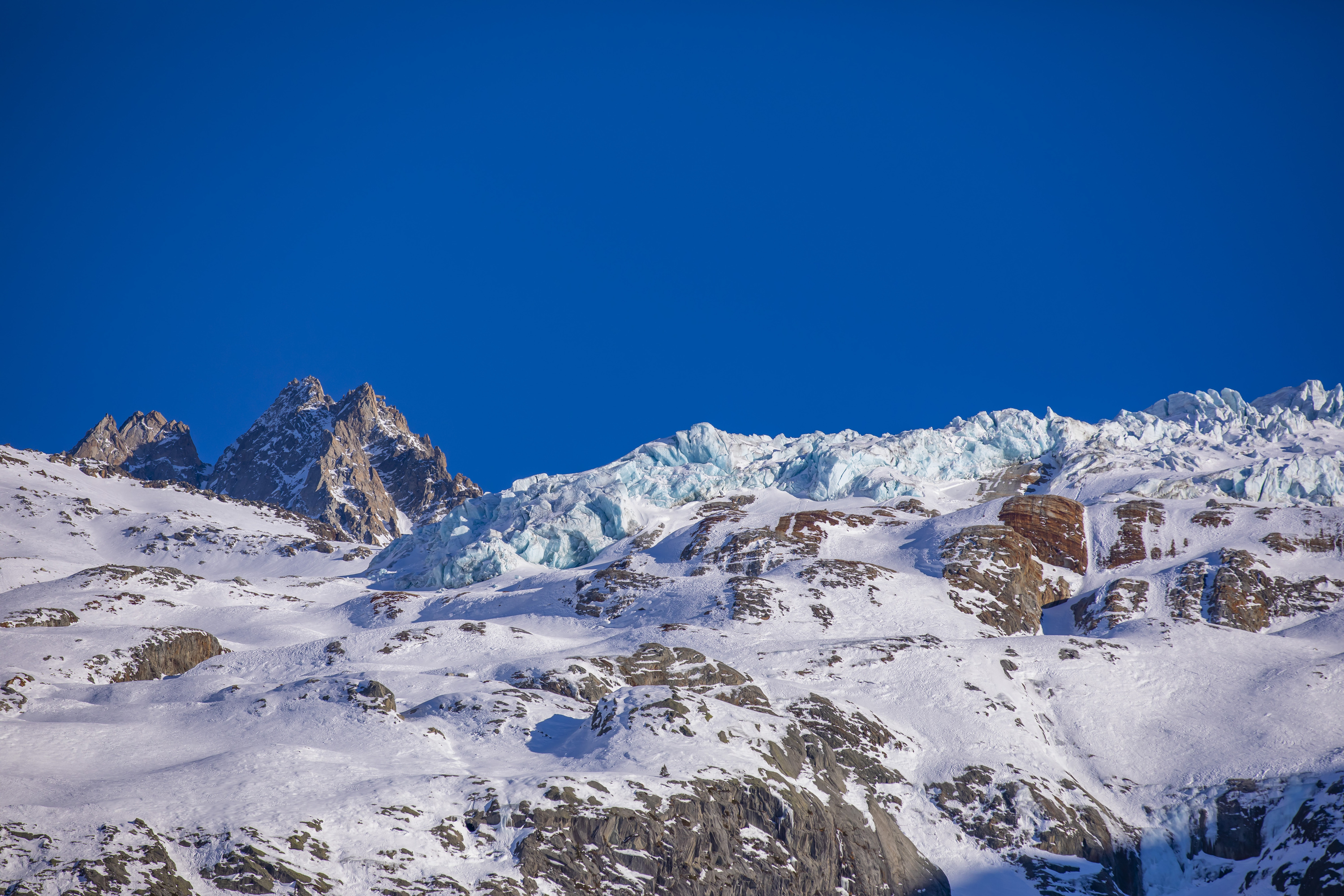 Chamonix Sud - Jonquilles 138