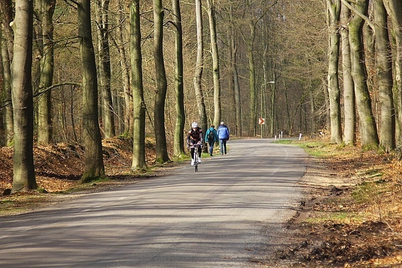 Vakantiehuizen op heerlijk landgoed met zwembad en wellness - Image 6