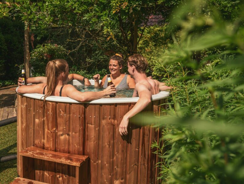 Villa met sauna en spa voor 4 personen op de Veluwe in Voorthuizen - Image 4
