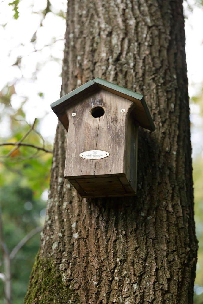 Bospark de Heivlinder, Veluws boerderijtje (type standaard 4+2 persoons).. - Image 10
