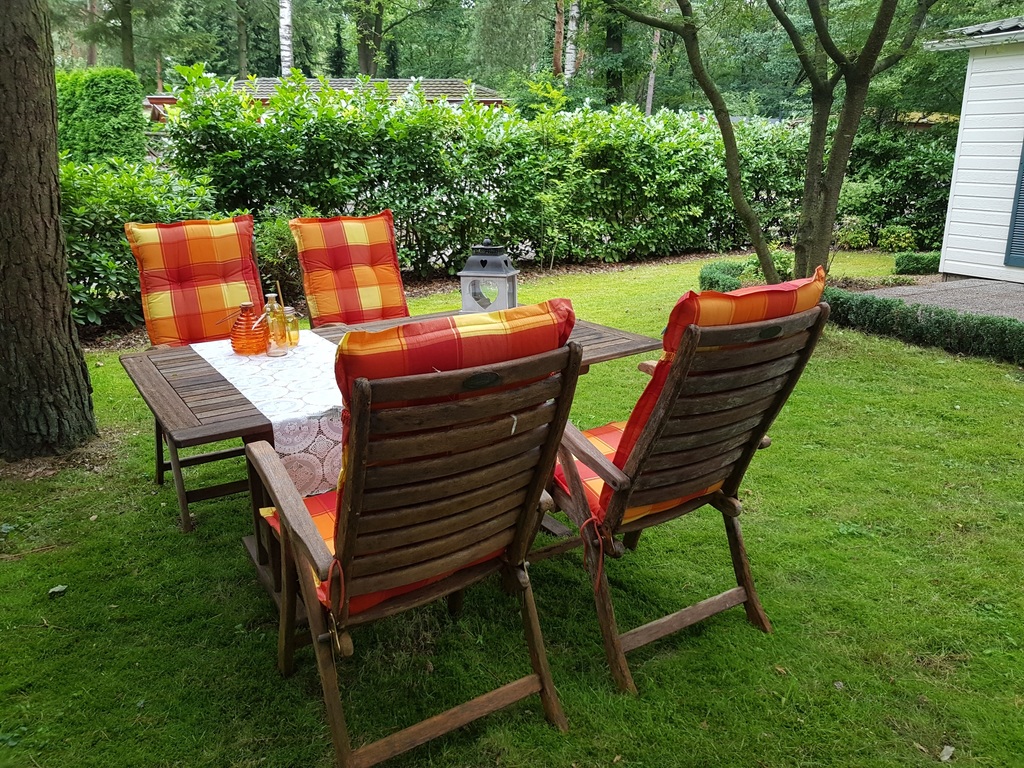 Bospark Doornspijk heerlijk chalet - Image 3