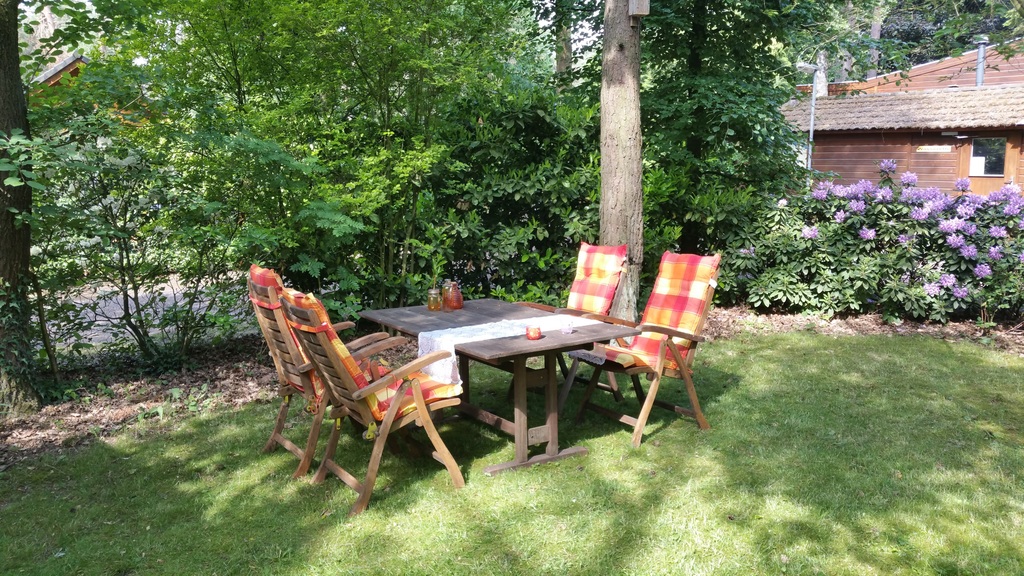 Bospark Doornspijk heerlijk chalet - Image 11