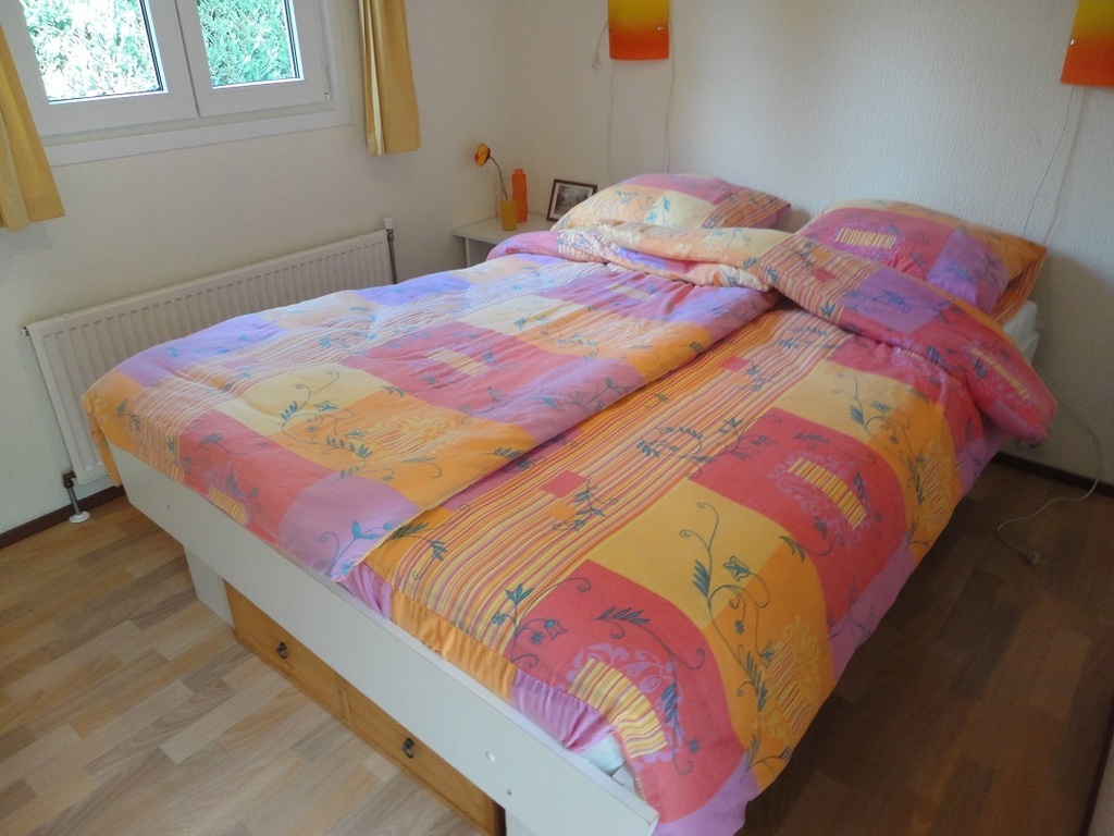 Chalet in Uddel Veluwe - Image 4