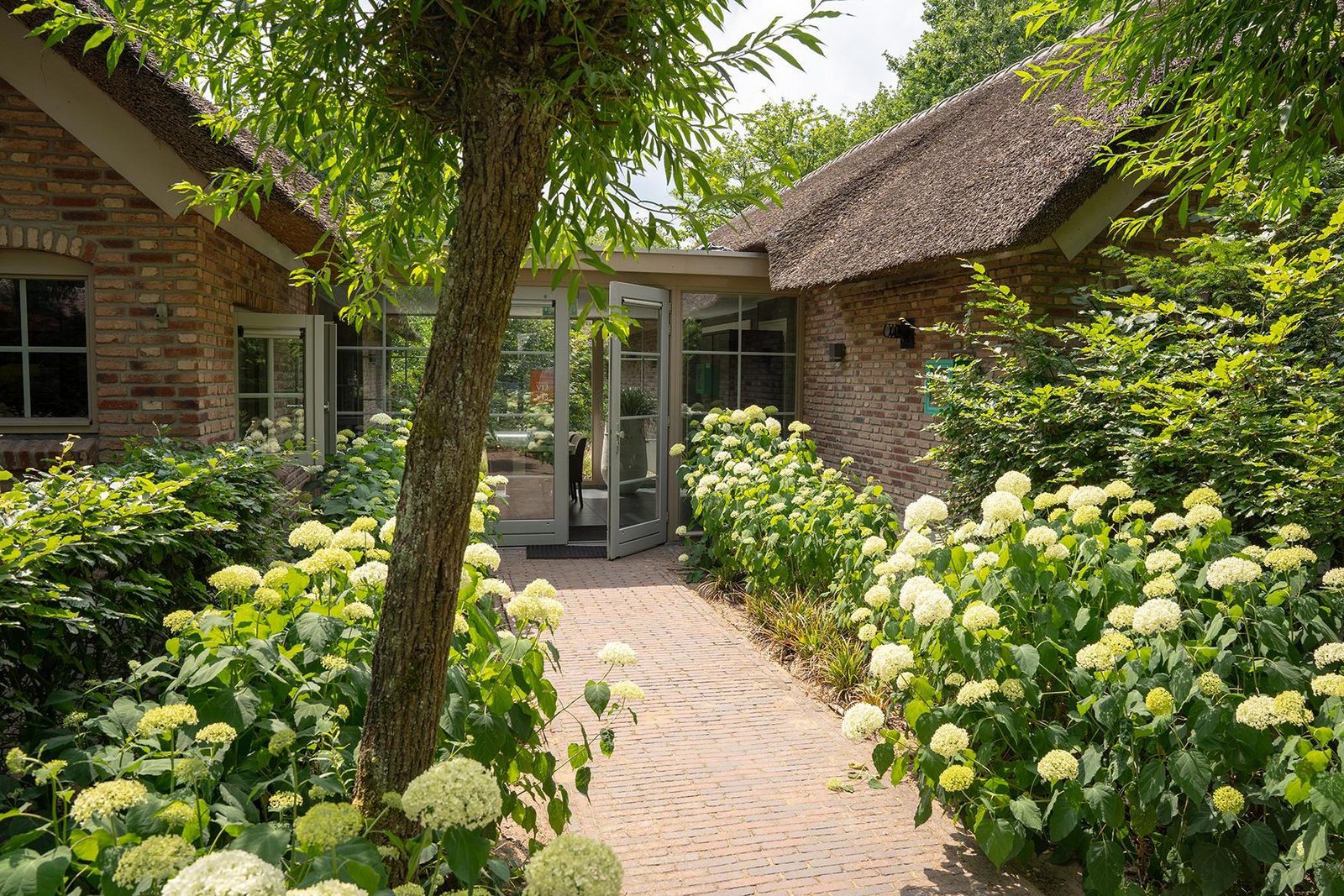 2-persoons knusse Vlindervallei Studio / luxe Hotelsuite - Image 10