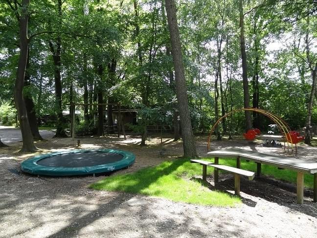 Heerlijk 5 persoons chalet op park in Uddel - Image 6