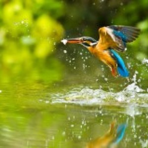 Fletcher Hotel-Restaurant De Korenbeurs Fletcher Hotel-Restaurant De Korenbeurs