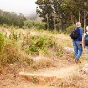 Fletcher Waldhotel Nordrhein-Westfalen Fletcher Waldhotel Nordrhein-Westfalen