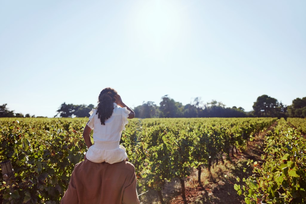 Cannes Mandelieu S4 S. Alcove