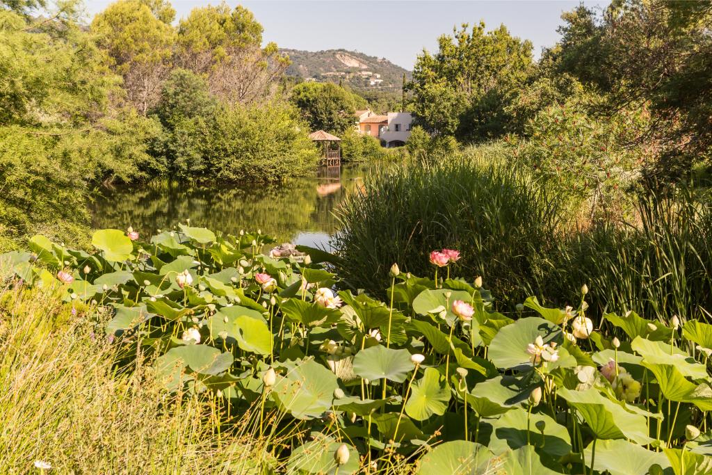 Les Restanques S4p STD