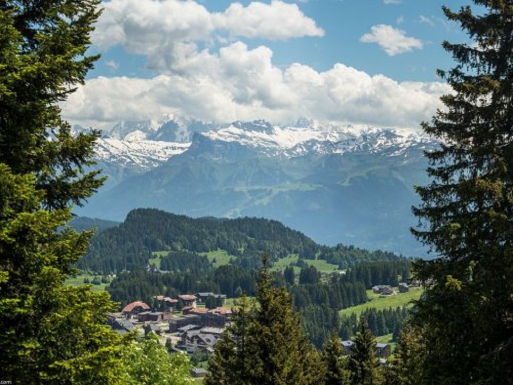 Les Mouflons I et II 1p5p