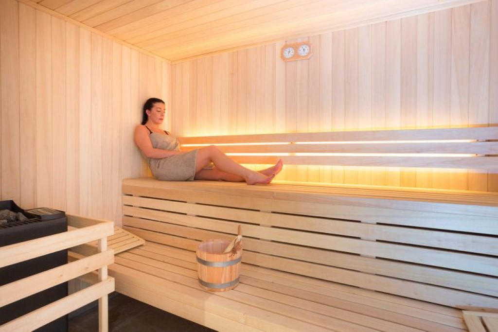 Les Saisies Les Chalets des Cimes S6 3 p