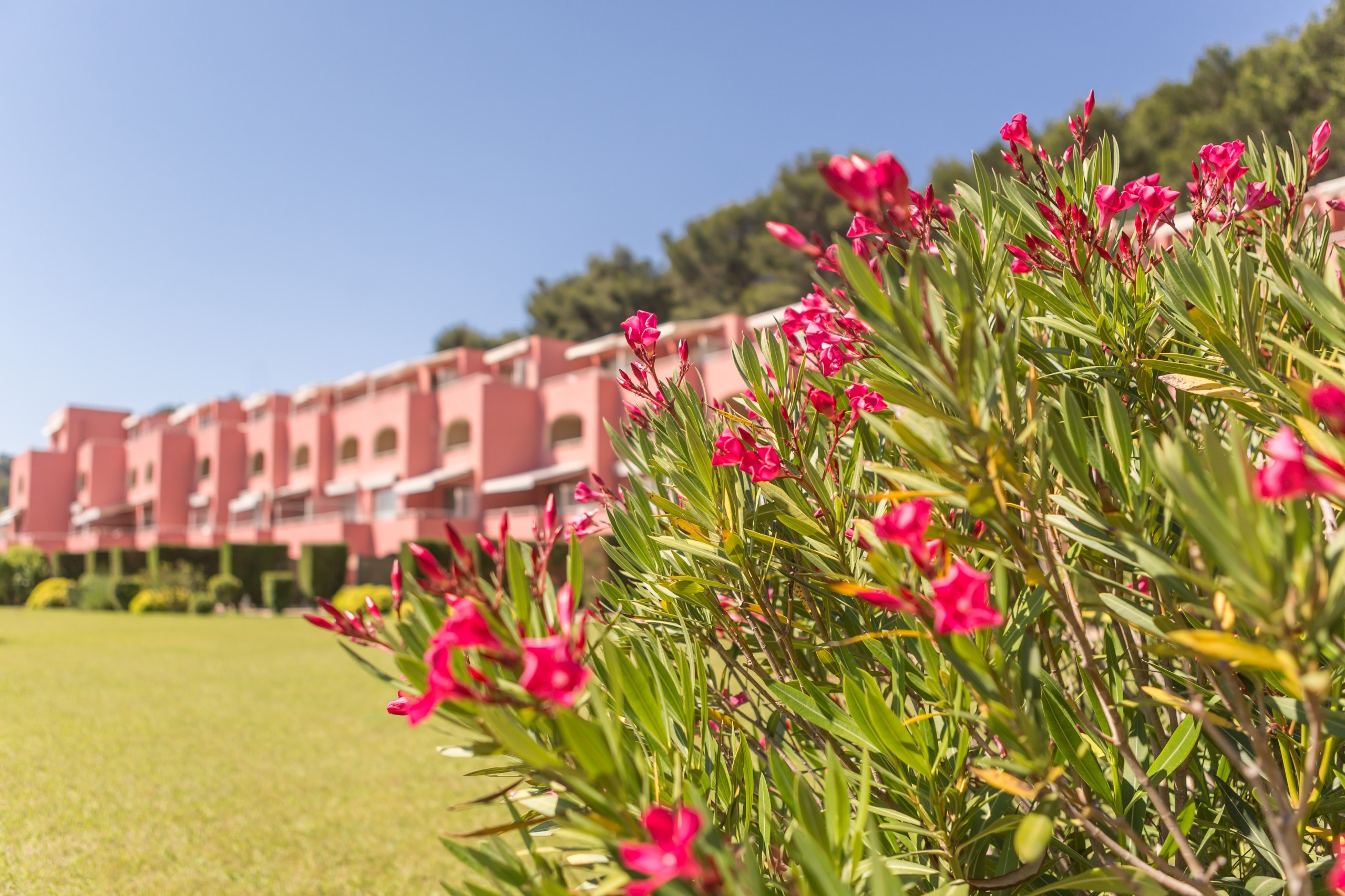 Les Jardins de la Cote d'Azur S5p Sat