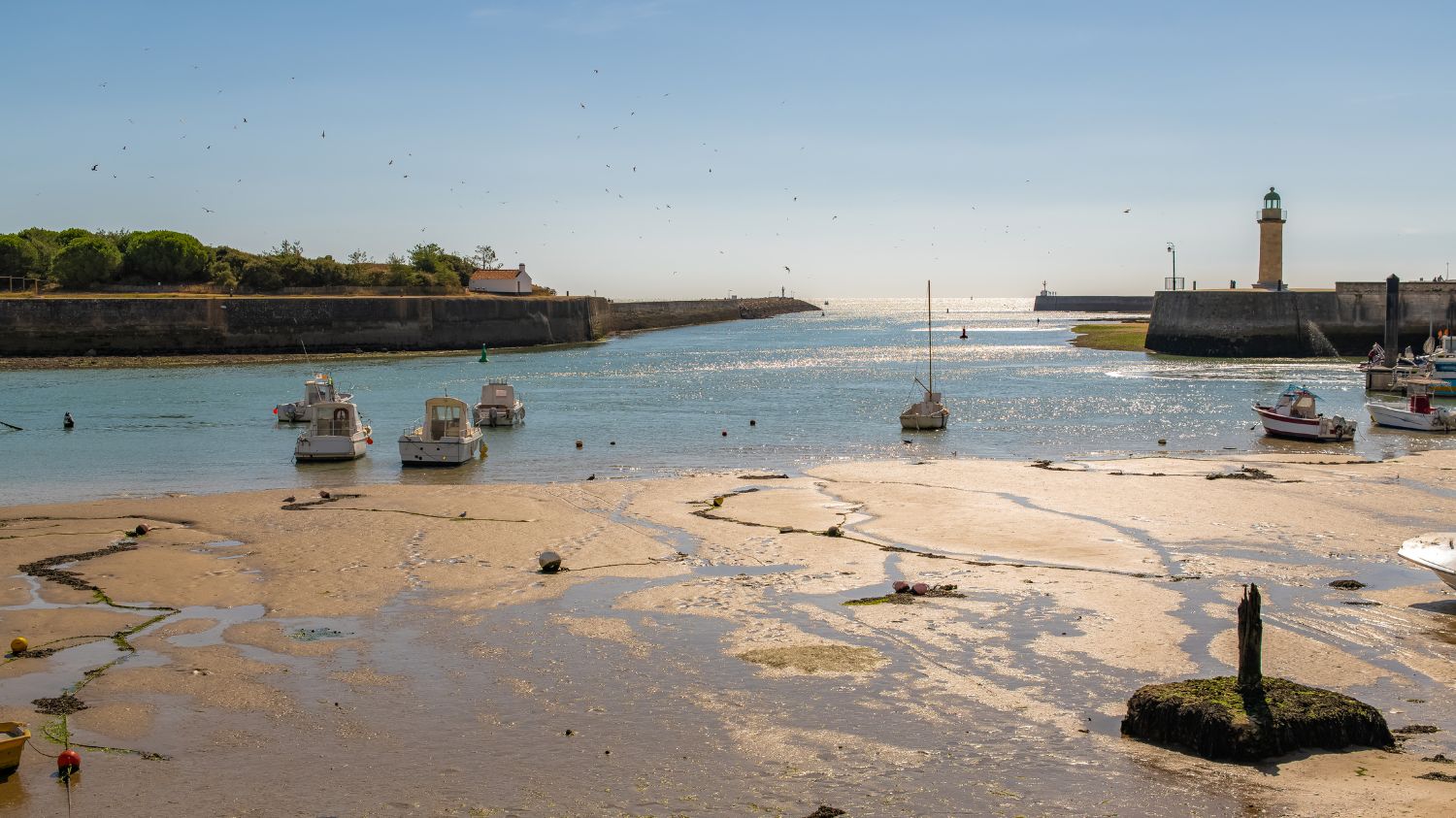 Les Appartements de Fontenelles 3p6p