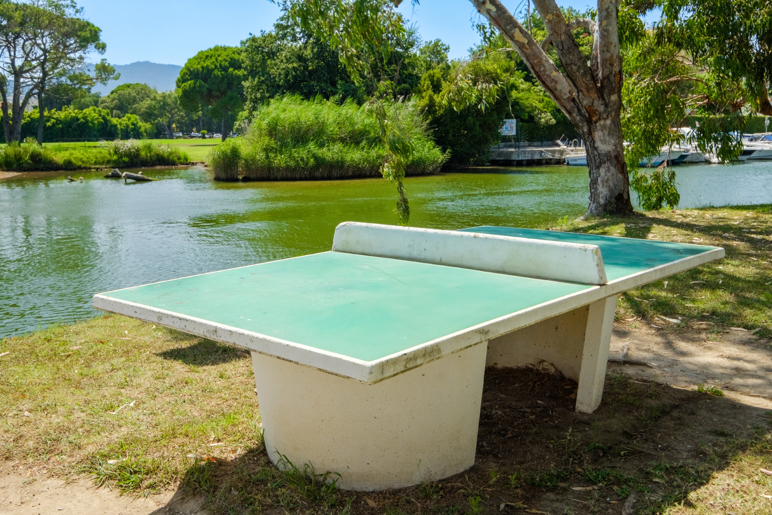 Cannes Mandelieu 3p6p NR