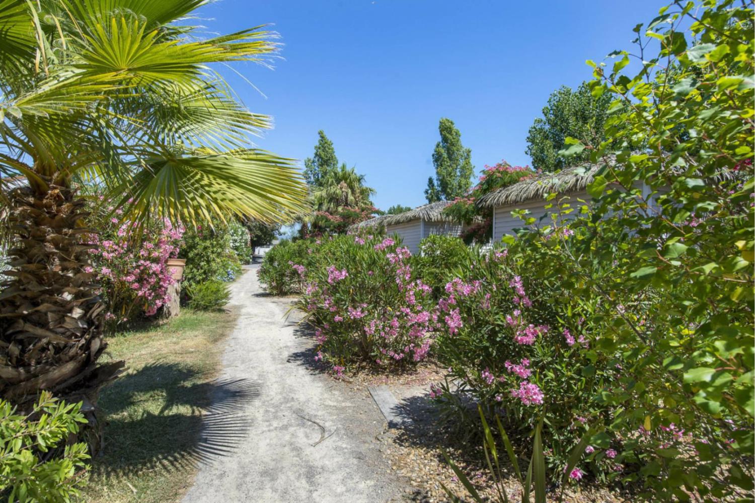 Cottage Tropical 6p 3Bdrms AirCon ****