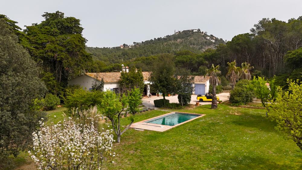 B-110 Finca Violeta - Image 13