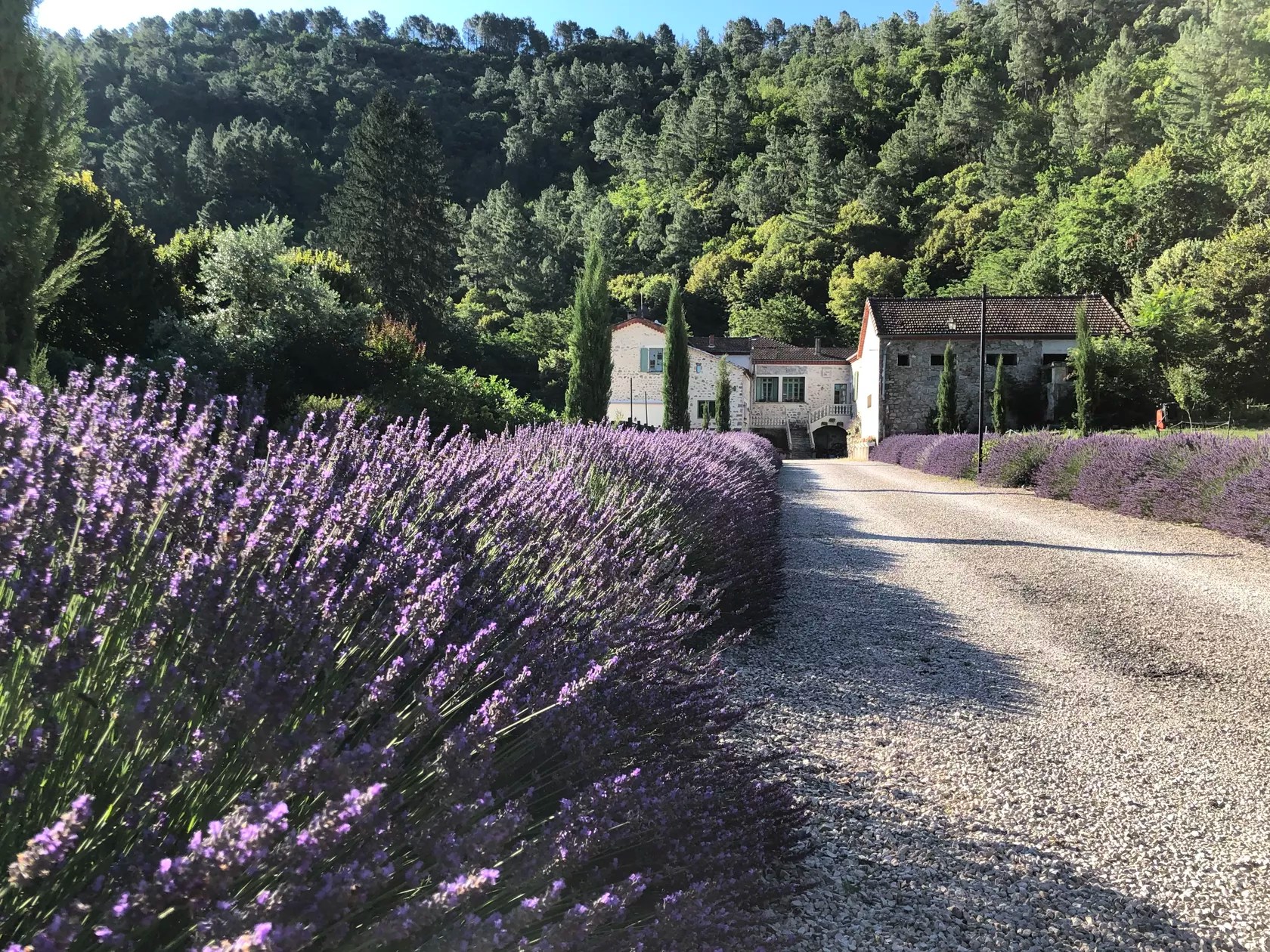 Chateau du Fraissinet - Les Pins
