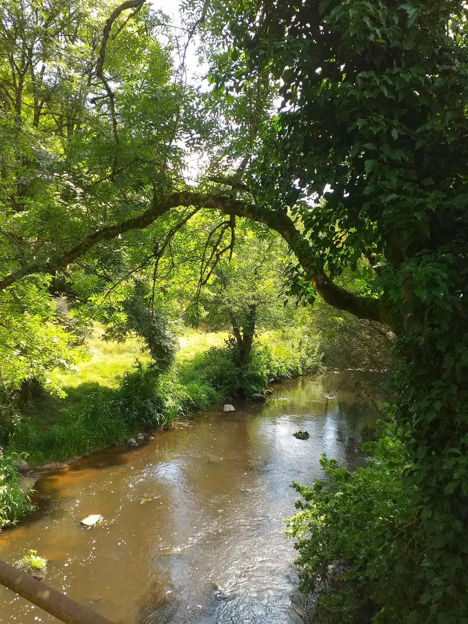 Gite Moulin de Ludièras