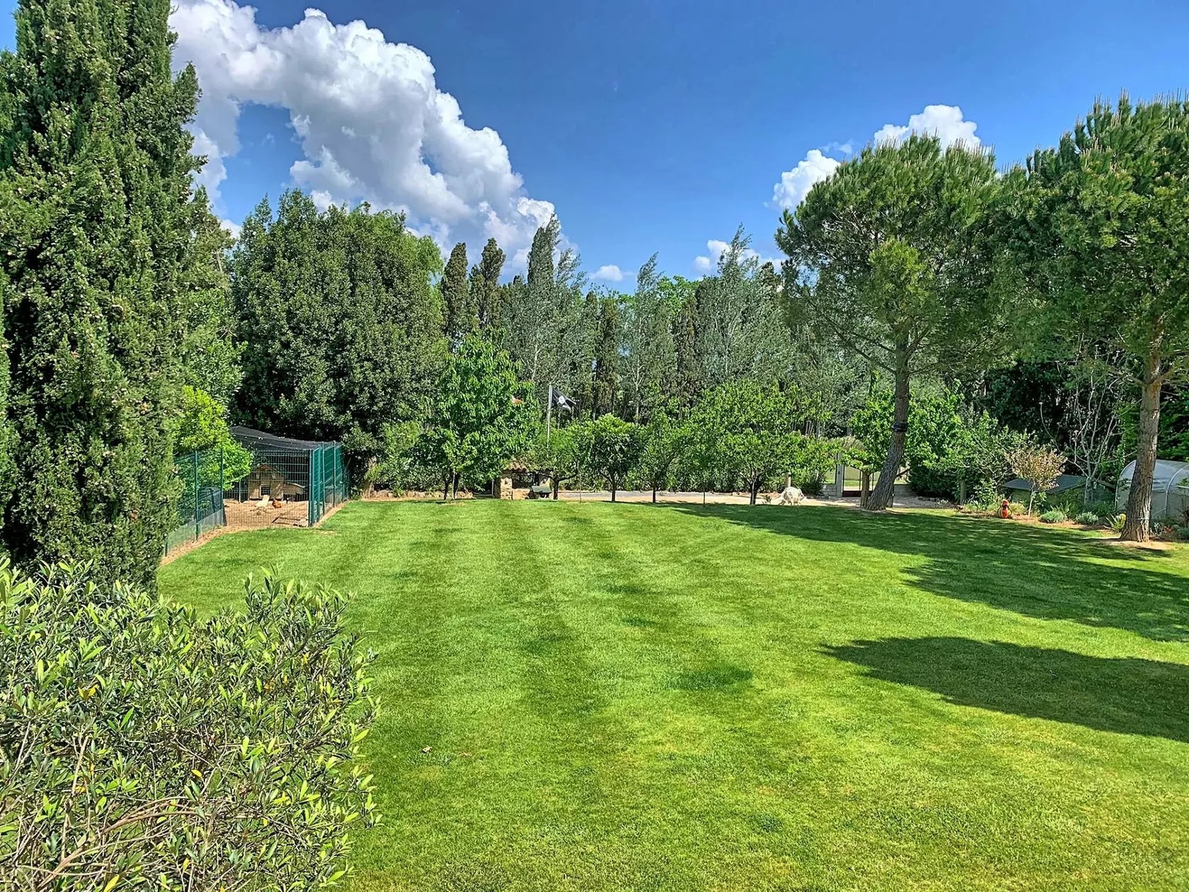 Les Petites Ecuries - Bijou