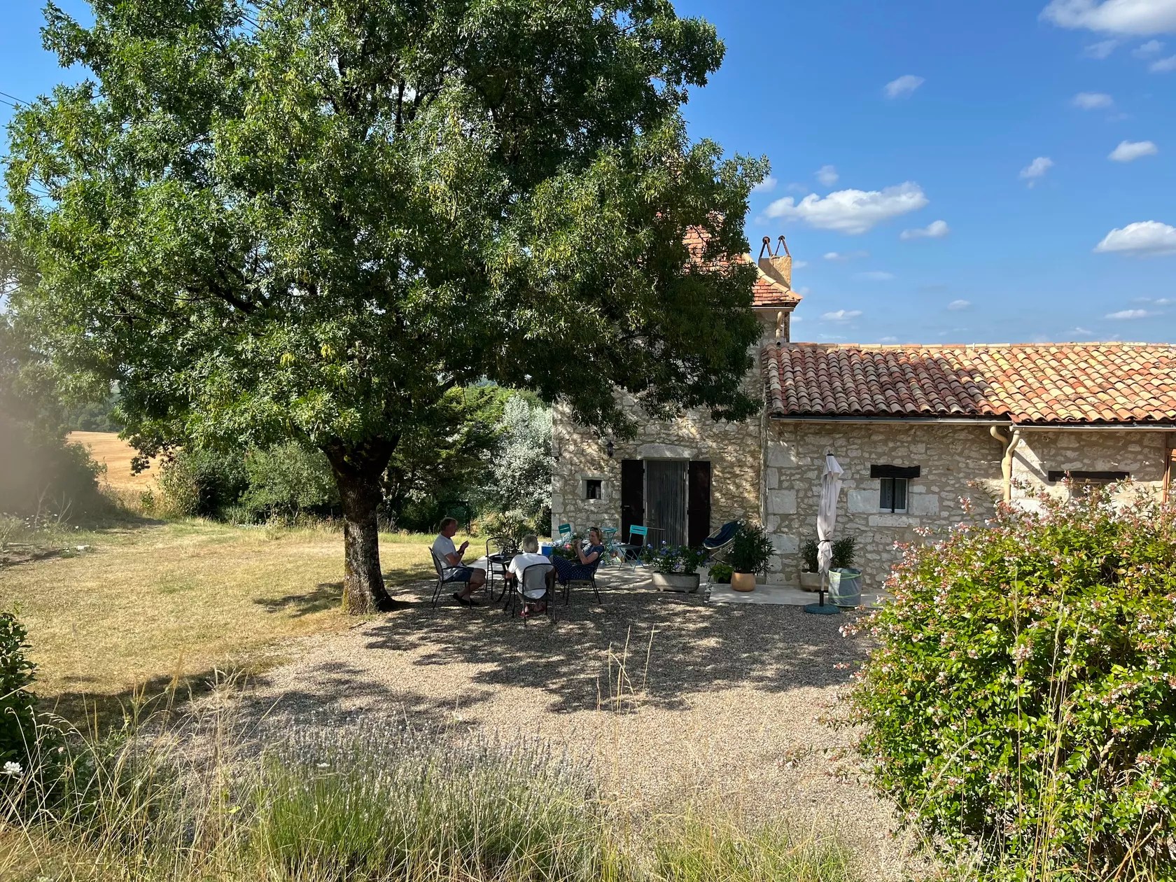 Les Crocus - La Tour