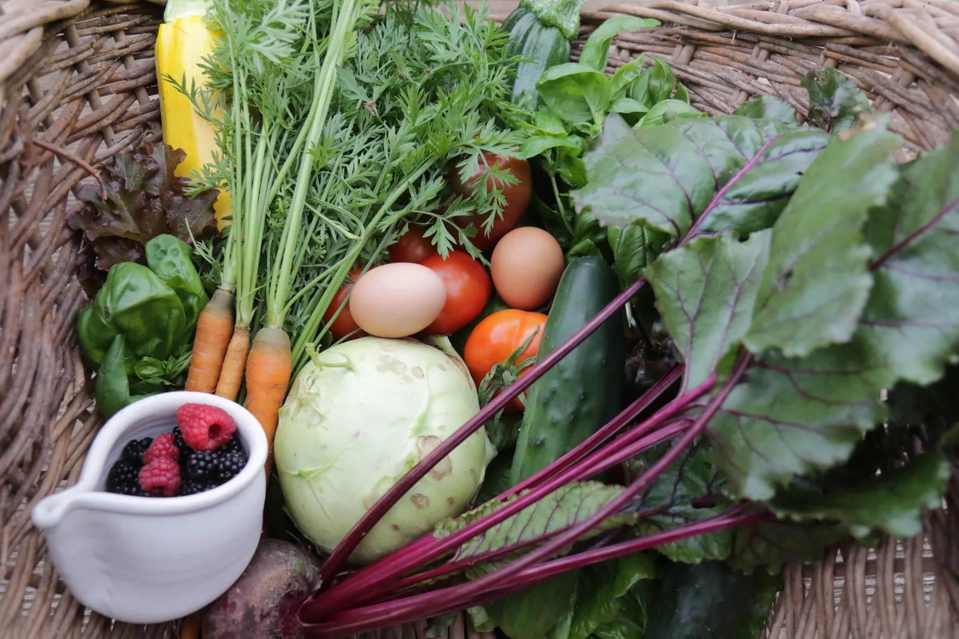 Chouette - aux yeux verts