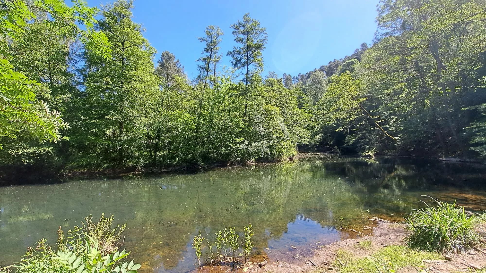 Château du Fraissinet - the Château Apartment