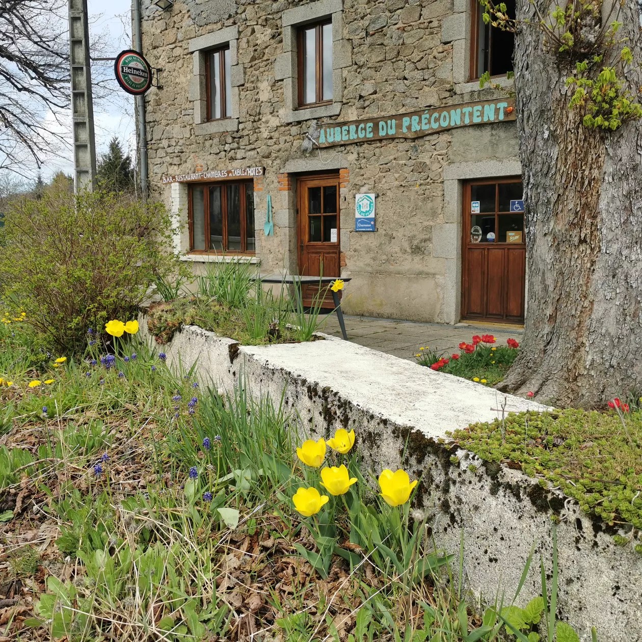 Gîte La Chouette