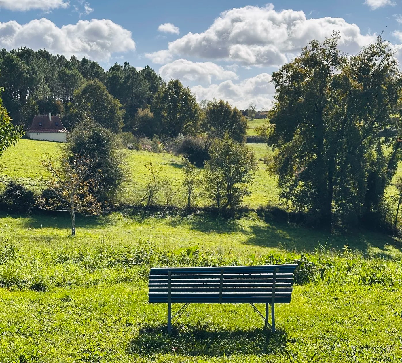Les Deux Canards Perdus