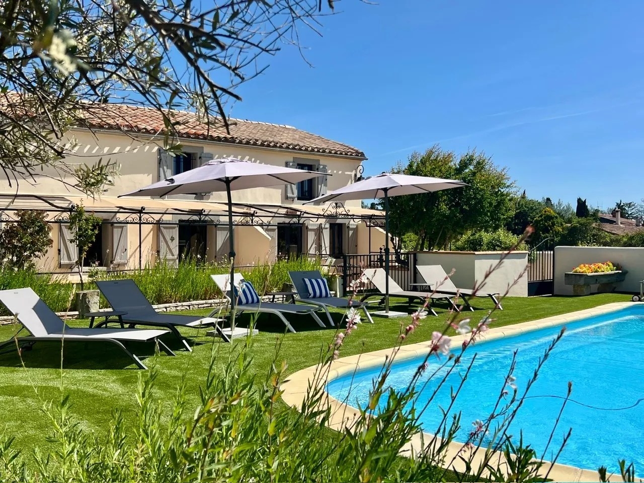 Les Petites Ecuries - Ponpon