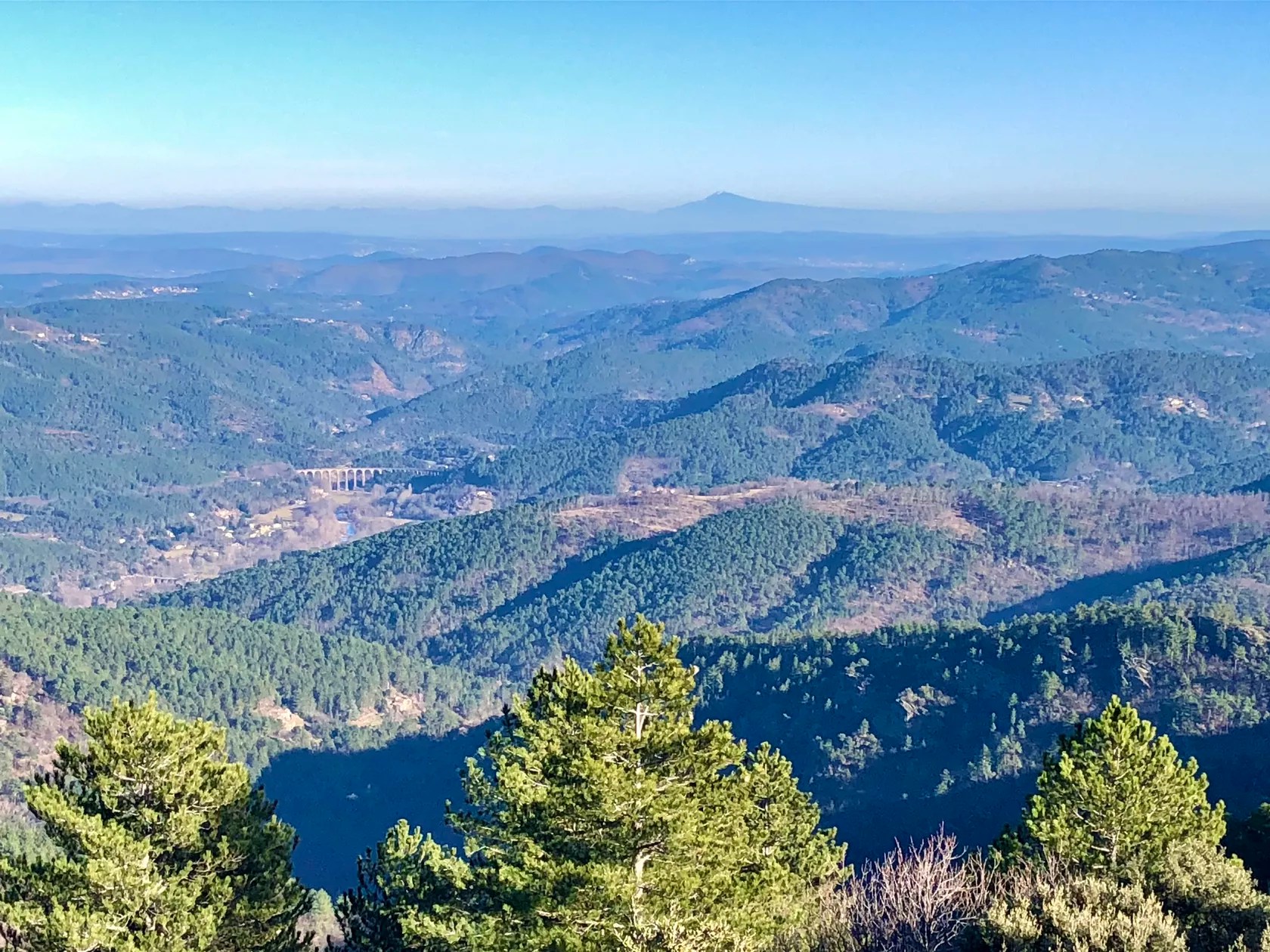 Chateau du Fraissinet - les Citronniers