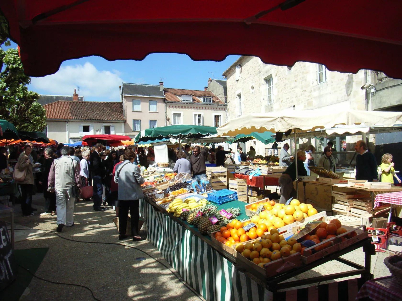 Domaine les Pins - La Figue