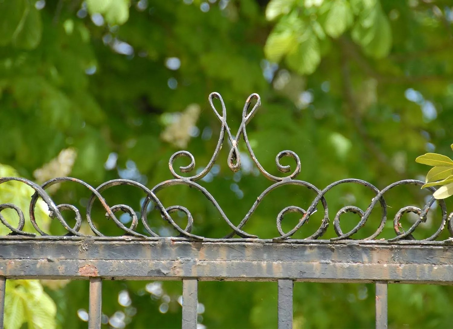 Les Mirandes - La Vigne