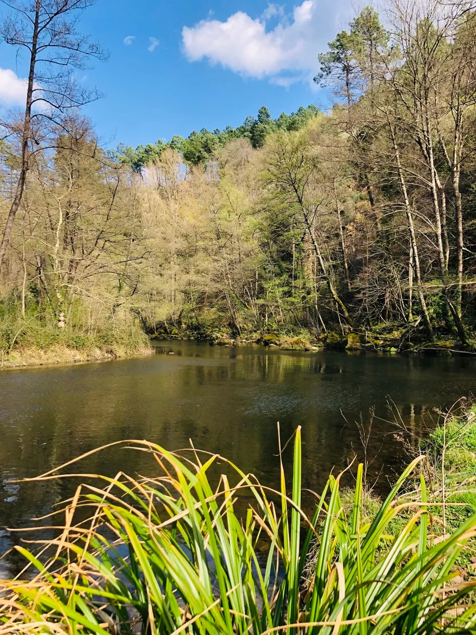 Chateau du Fraissinet - Les Acacias