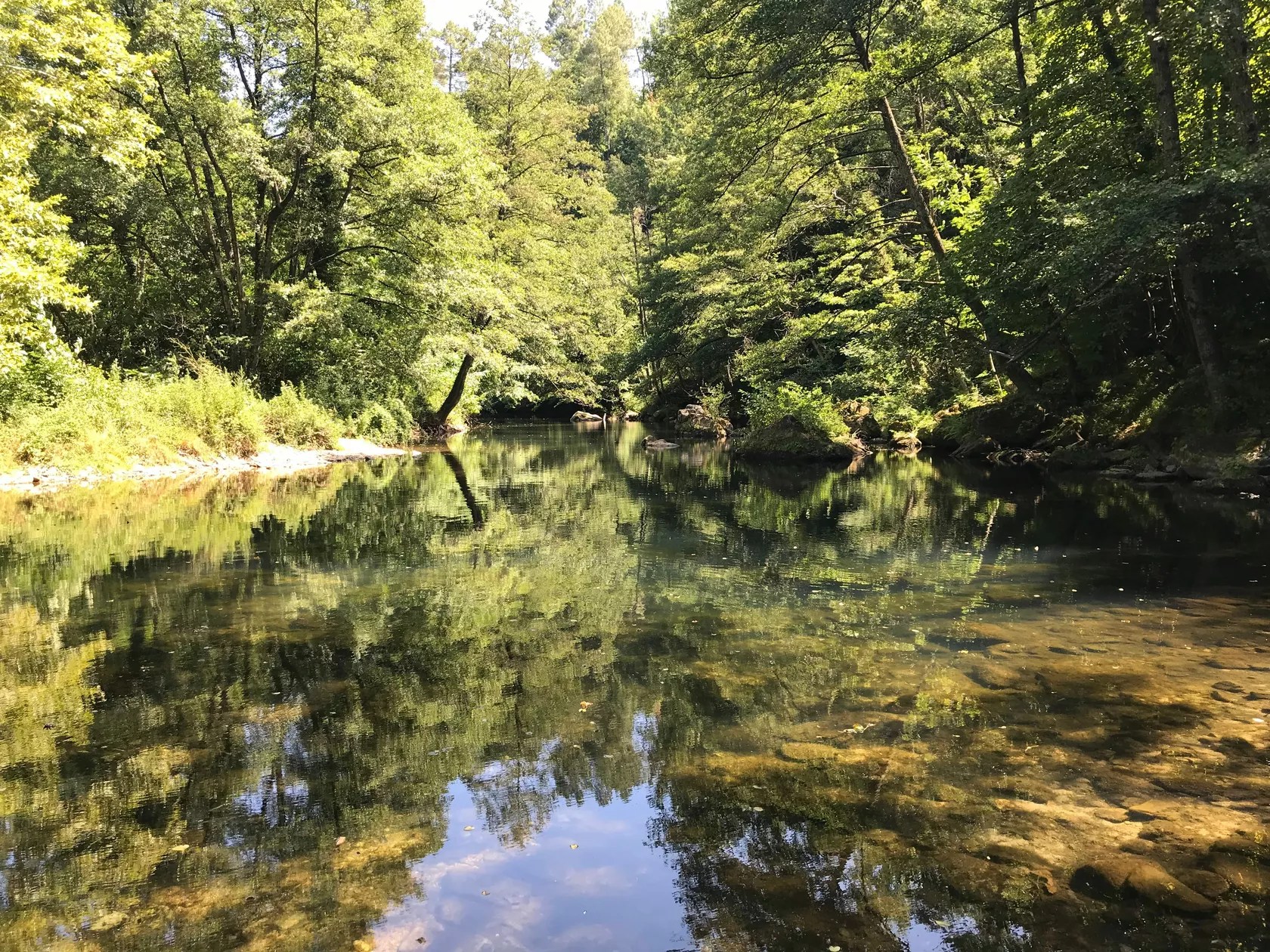 Chateau du Fraissinet - Les Acacias