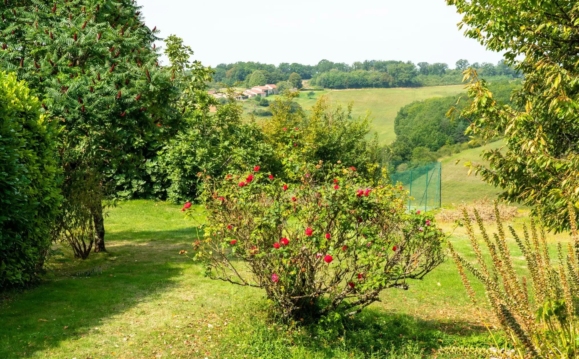 Chez Maurit - Fig Cottage