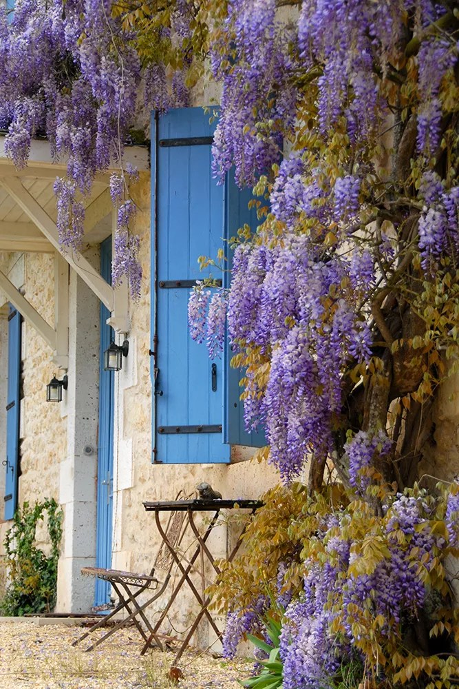 Les Mirandes - Le Beauregard