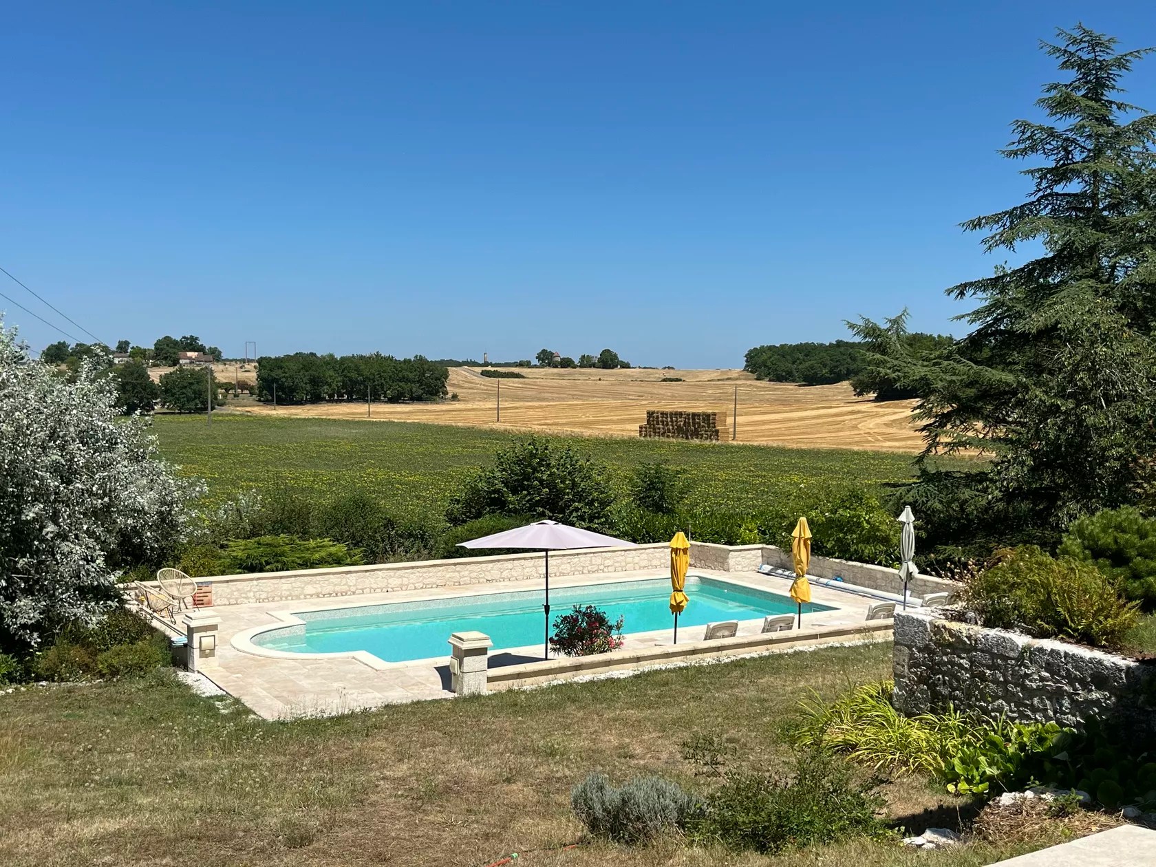 Les Crocus - Le Studio