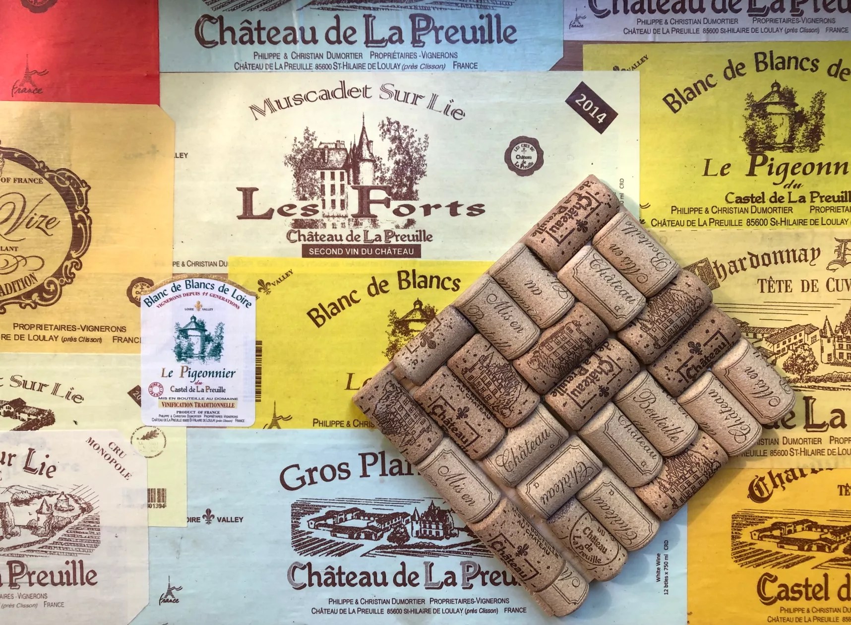 Chateau de la Preuille