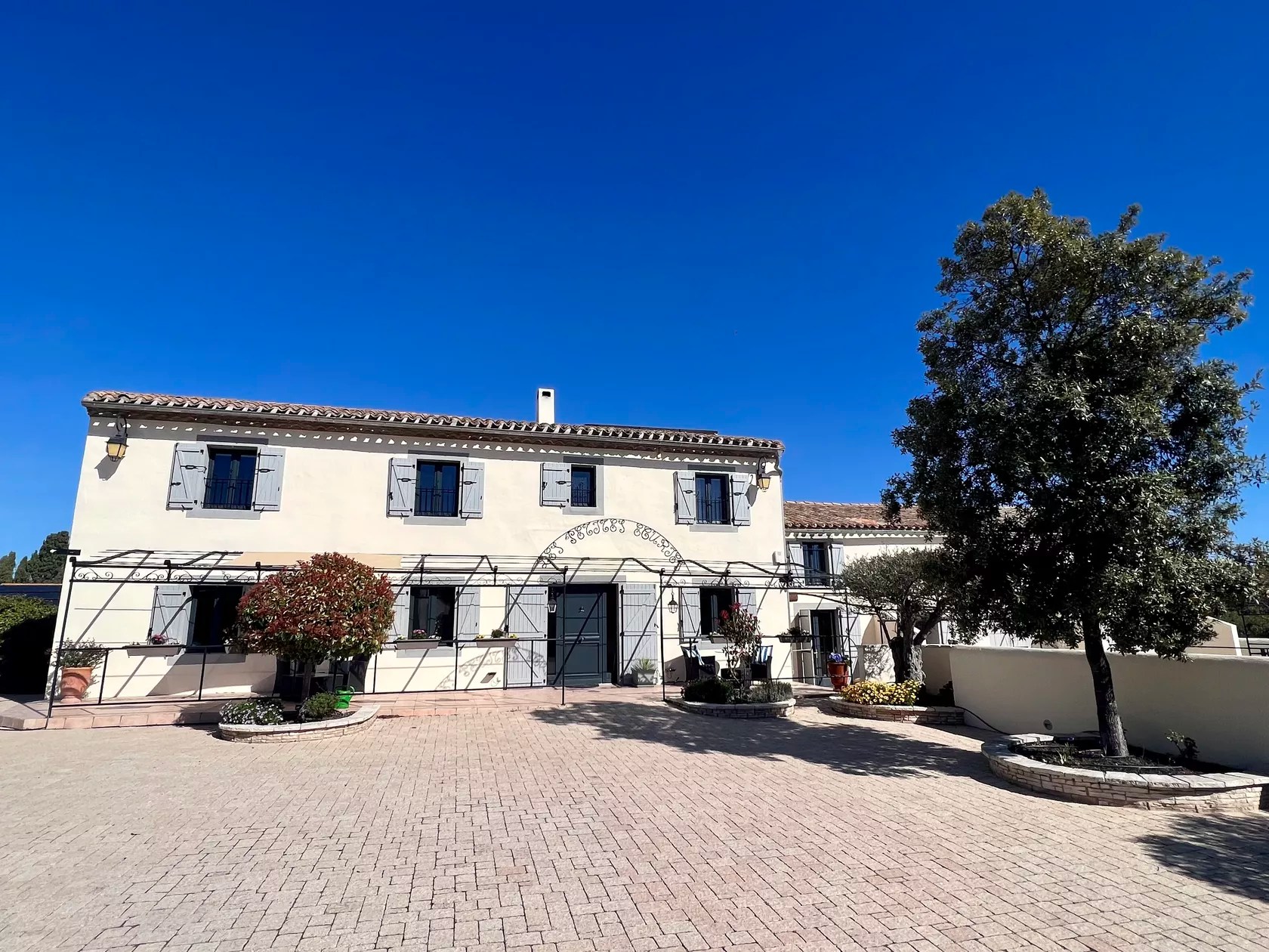 Les Petites Ecuries - Ponpon