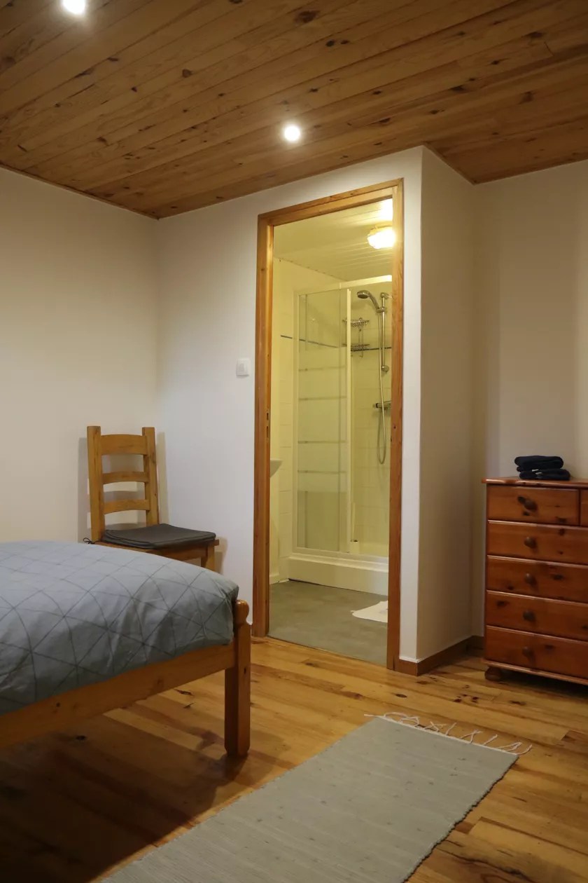 Chouette - aux yeux verts