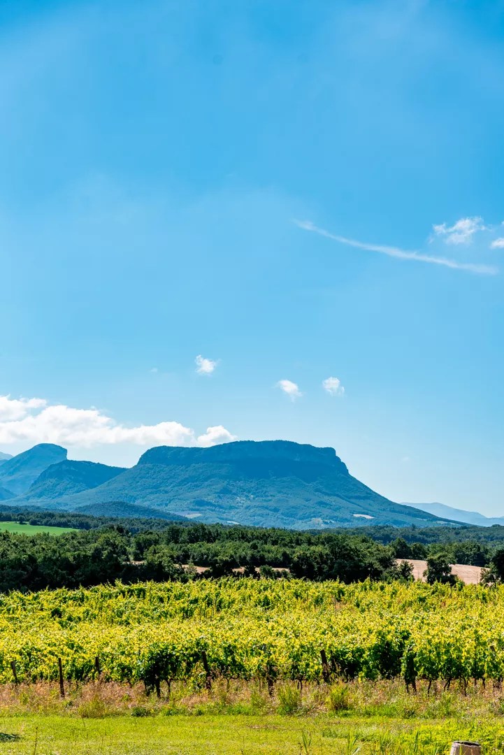 Les Lauzes de Chabrillan